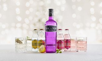 GT Pakke Sears - 2025 EKSTRA