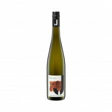 Riesling, Organic & Vegan, 2023, Weingut Julius