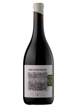 Terroir, Gualtallary, Mendoza, Malbec, 2020, Staphyle