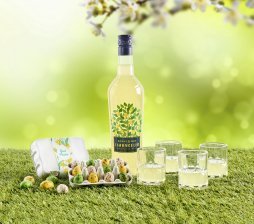 Lemoncello & Glas - 2025