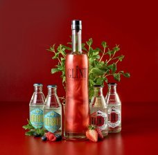 Gin & Tonic - Glint Jordbær - 2026