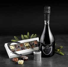 GJ Champagneprop - 2026