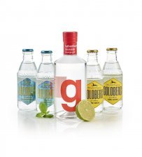 Gin & Tonic - København - EKSTRA